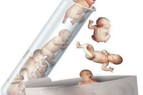 http://zhengzhou.dacou.net/post/194.html|郑州新闻中心
